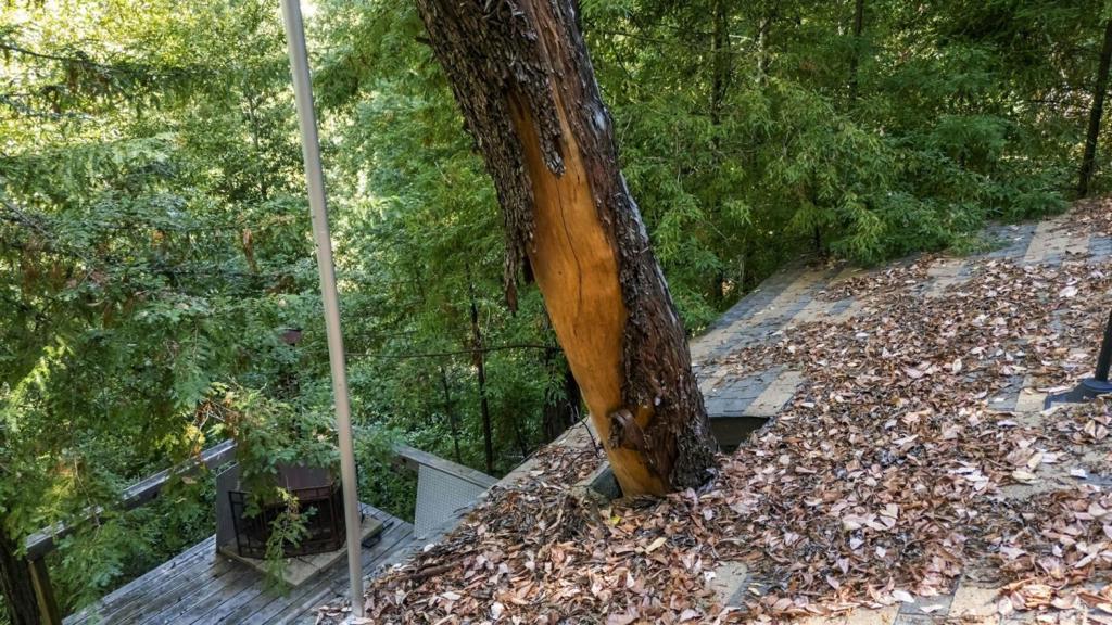 Bear Creek Road Property Photo 22