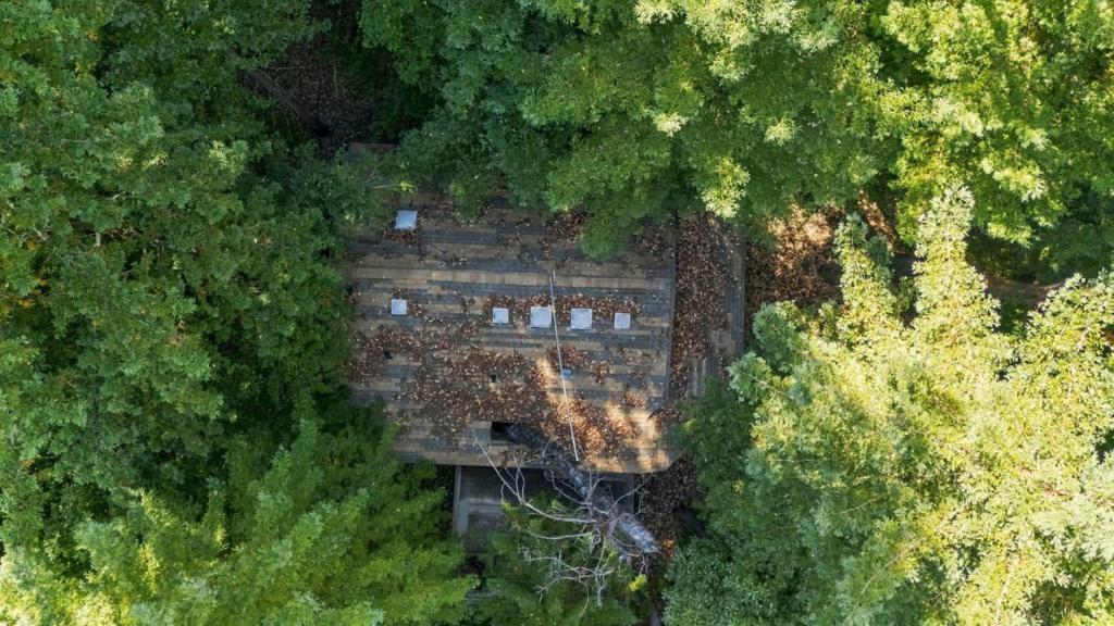Bear Creek Road Property Photo 23
