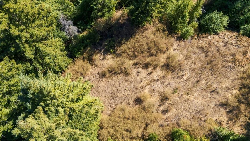 Bear Creek Road Property Photo 24