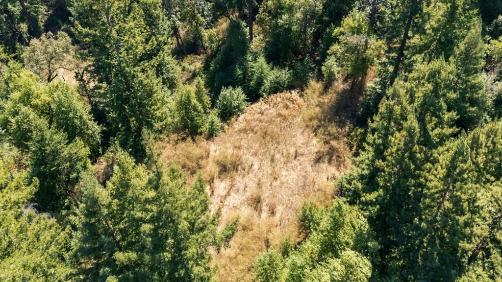 Bear Creek Road Property Photo 25