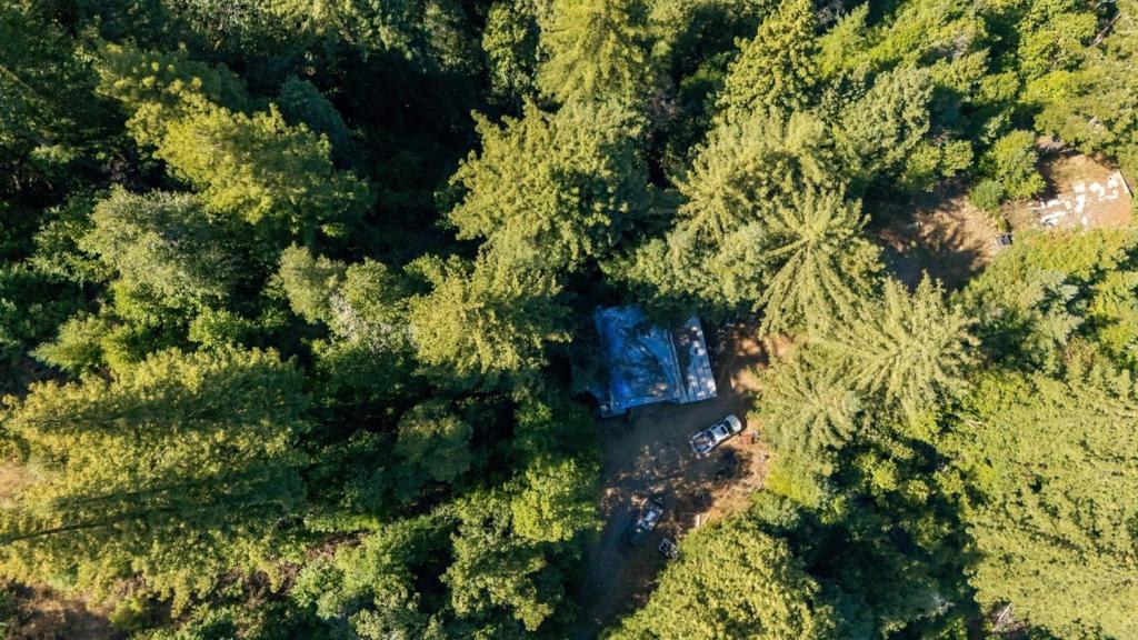 Bear Creek Road Property Photo 28