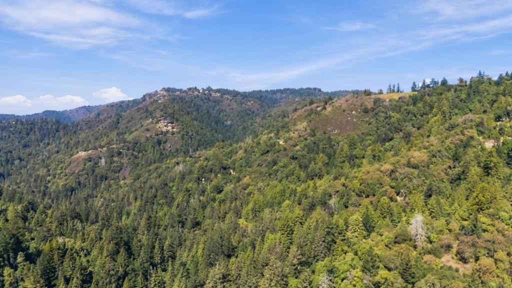 Bear Creek Road Property Photo 29