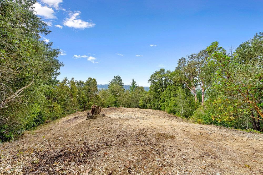 612 Nelson Road Property Photo 28
