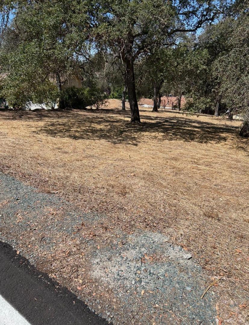 2194 Partridge Drive Property Photo 1