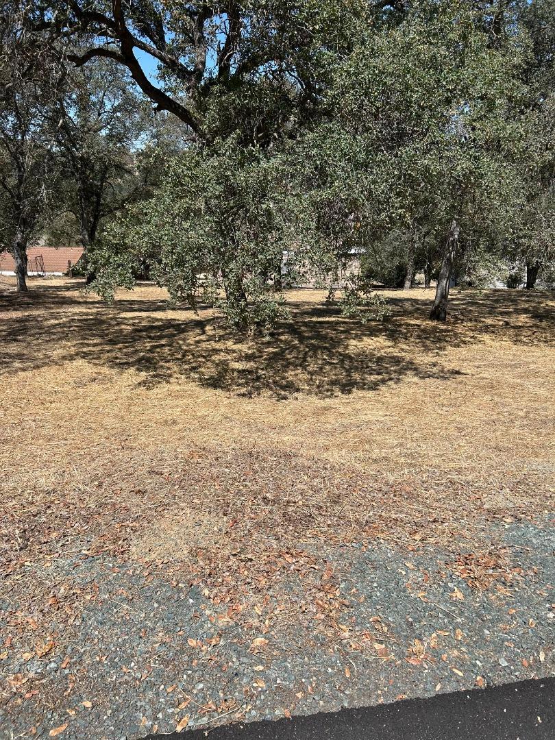 2194 Partridge Drive Property Photo 2