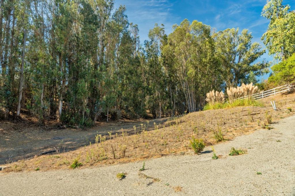 0 Carpenteria Rd. Property Photo 1