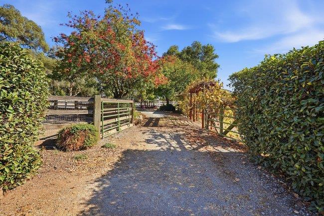 12170 Calle Uvas Property Photo 34