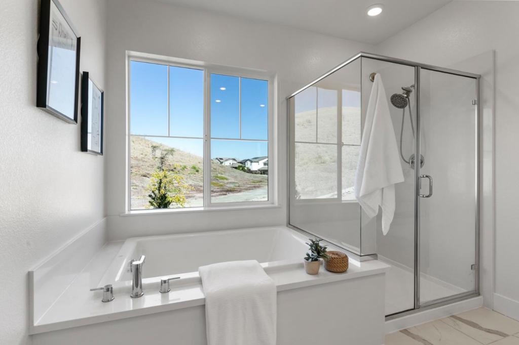 33109 Via Vicenza Property Photo 12