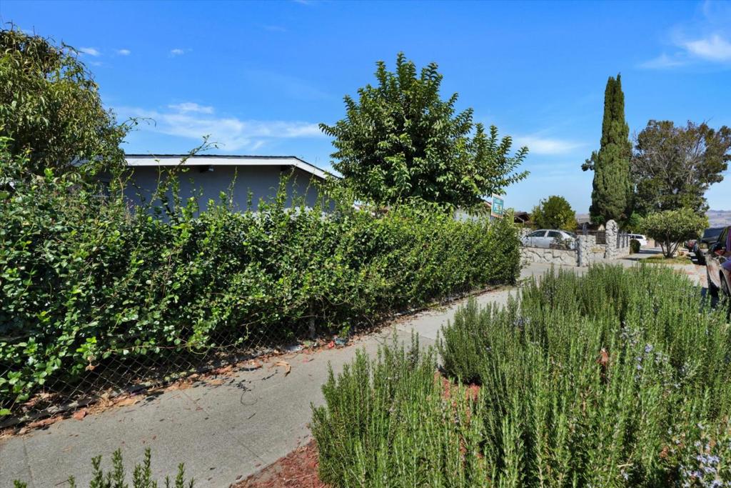 1843 Ocala Avenue Property Photo 3
