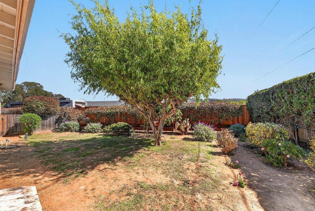 24 Verde Way Property Photo 40