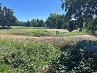 24253 Coleman Fish Hatchery Property Photo 5