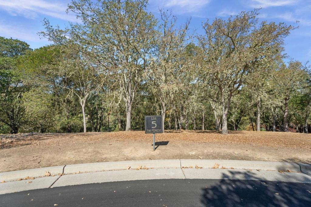 8351 Winter Green Court Property Photo 1