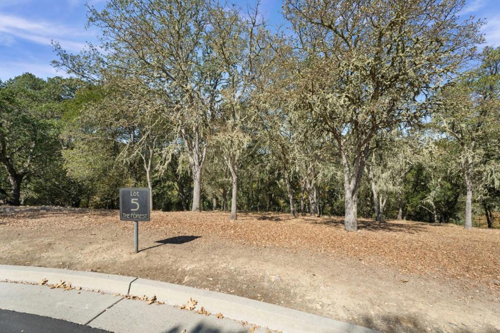8351 Winter Green Court Property Photo 3