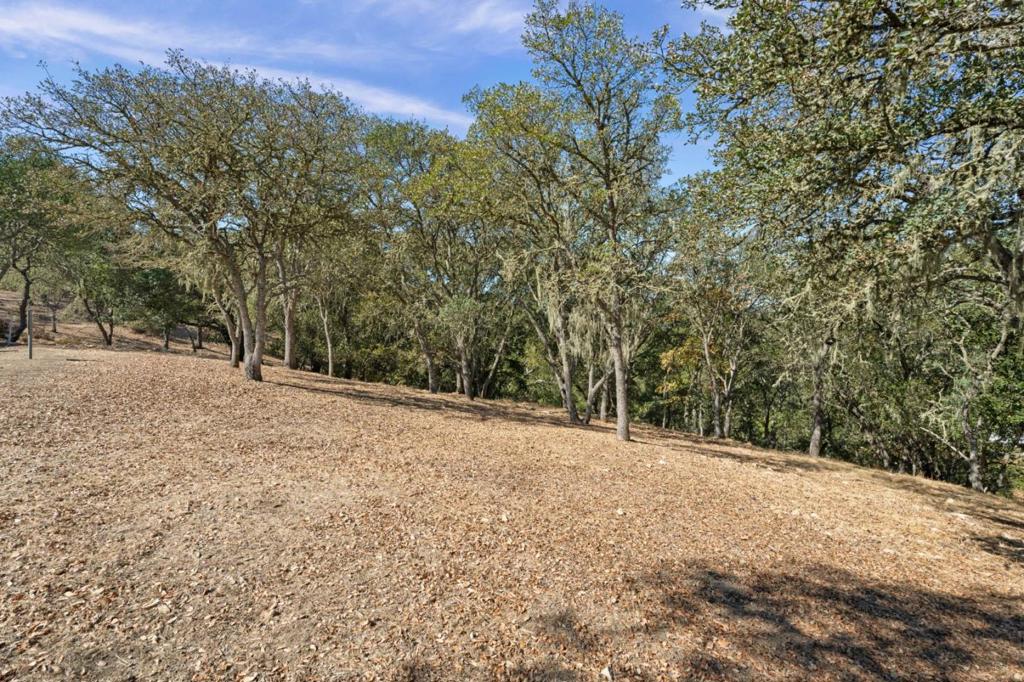 8351 Winter Green Court Property Photo 6