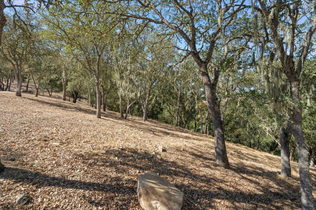 8351 Winter Green Court Property Photo 7