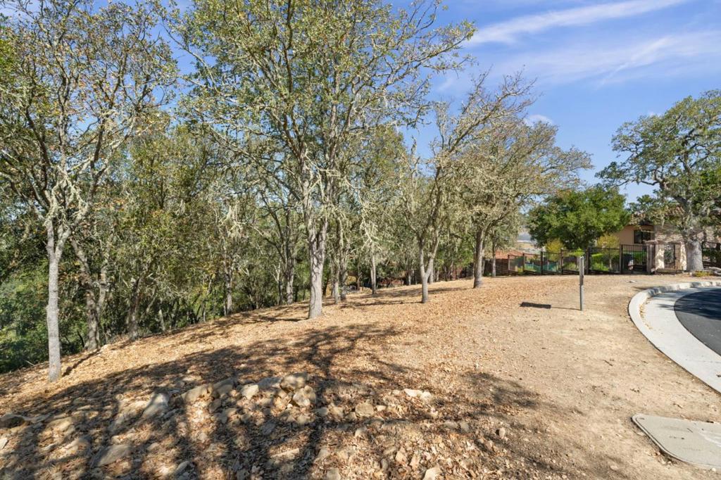8351 Winter Green Court Property Photo 8