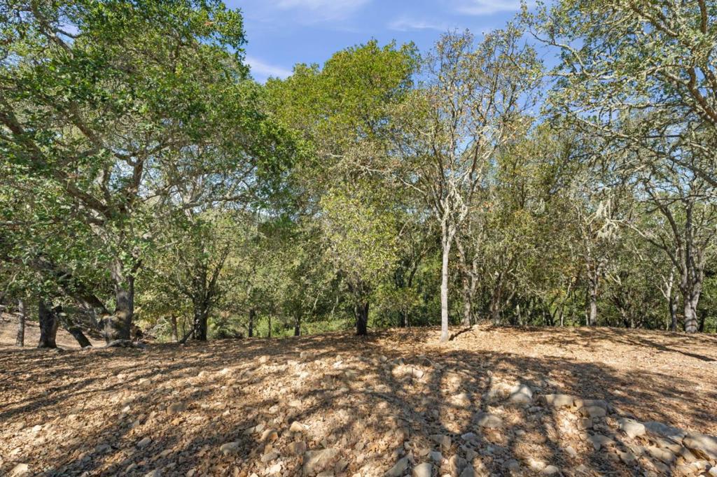 8351 Winter Green Court Property Photo 9