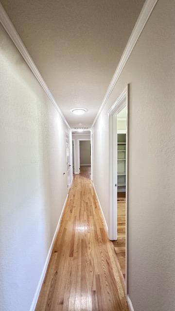10734 Martinwood Way Property Photo 19