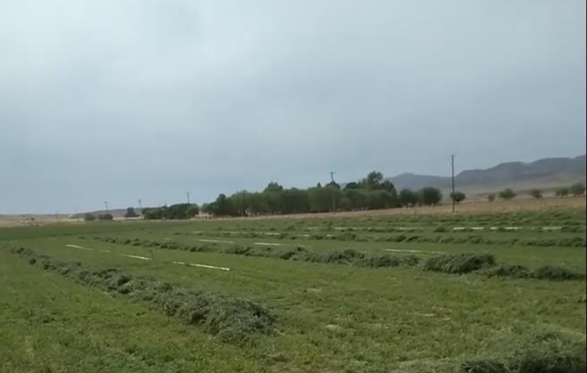 0 Panoche Road Property Photo 2