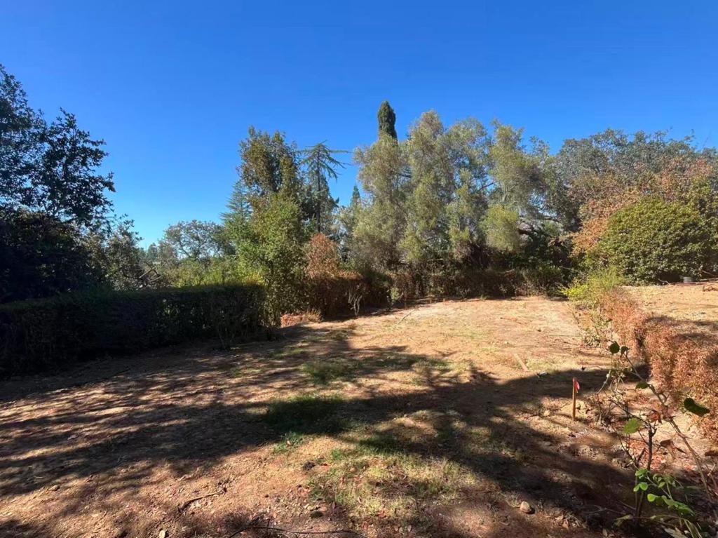 17135 Summit Way Property Photo 7