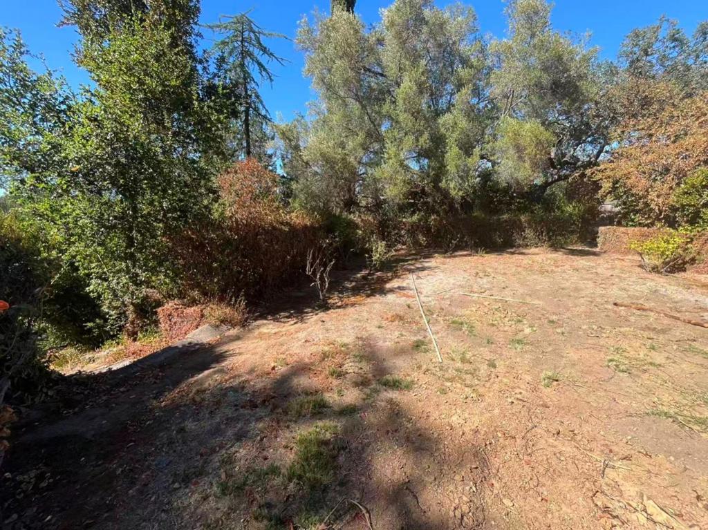 17135 Summit Way Property Photo 10