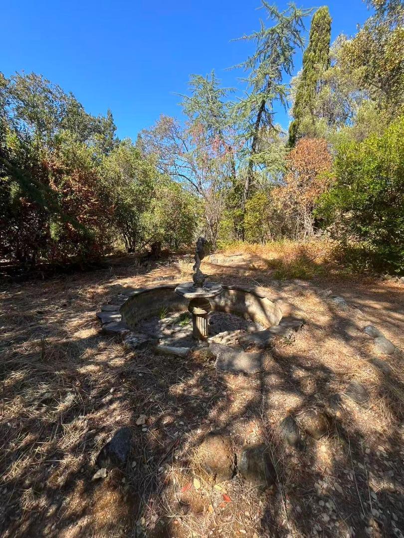 17135 Summit Way Property Photo 13