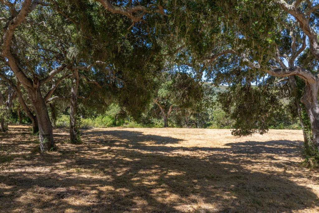 4 Goodrich Trail (lot E13) Property Photo 2