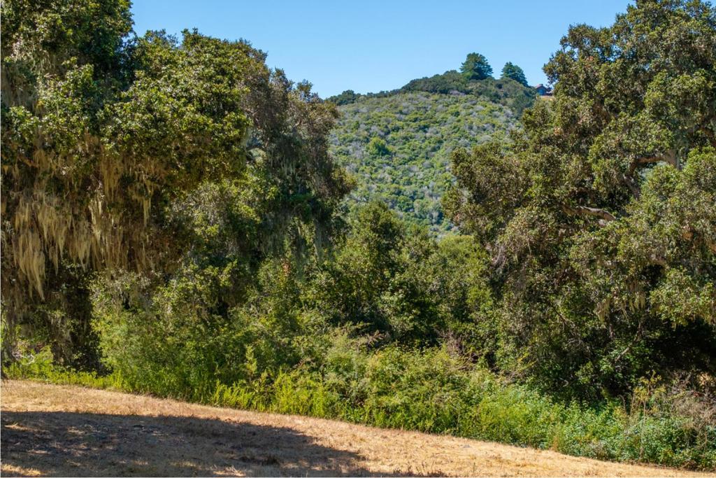 4 Goodrich Trail (lot E13) Property Photo 4