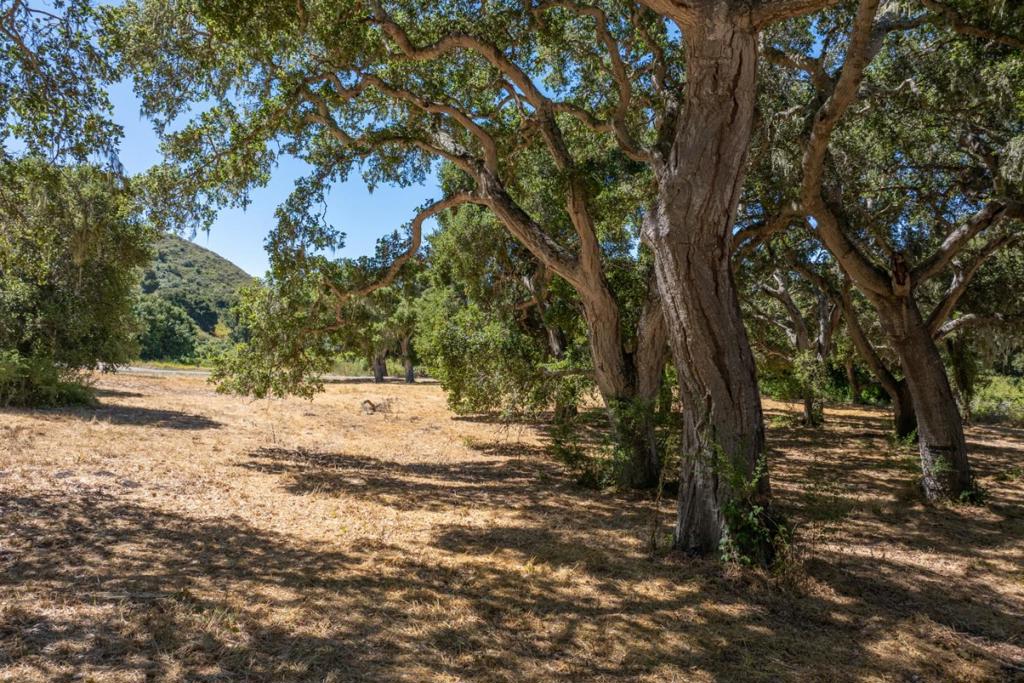 4 Goodrich Trail (lot E13) Property Photo 7