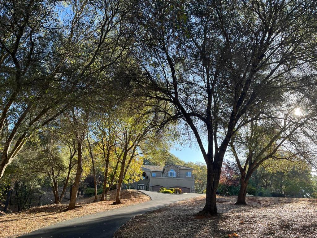 1190 Squirrel Creek Place Property Photo 2