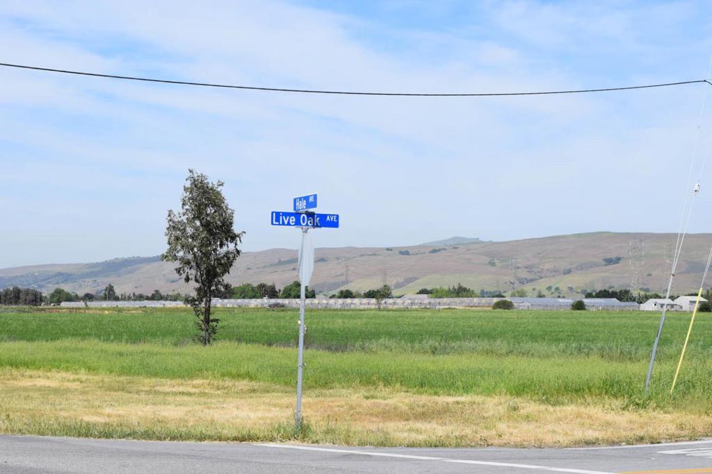 0 Live Oak Avenue Property Photo 1