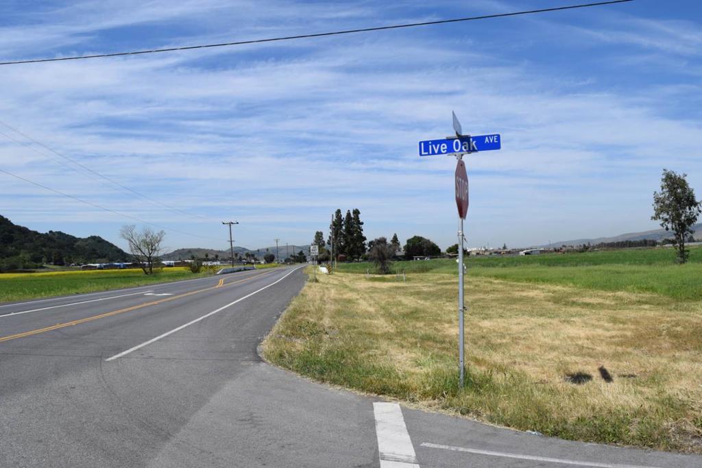 0 Live Oak Avenue Property Photo 2