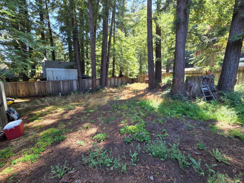 10040 Highway 9 Property Photo 16