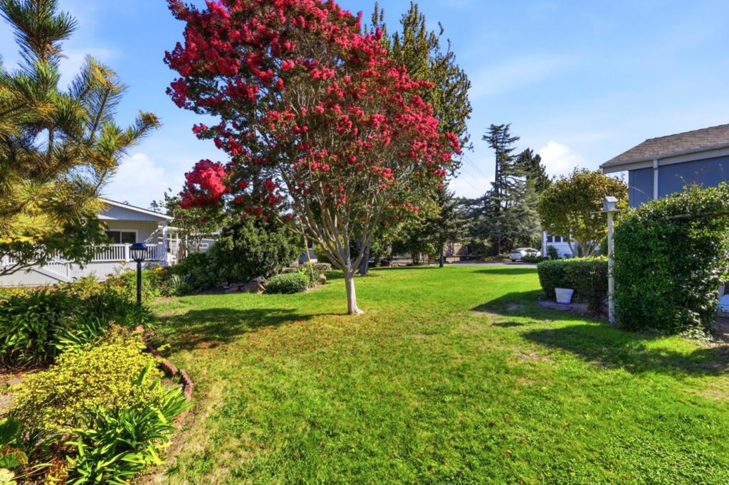 225 Mt. Hermon 60 Property Photo 43