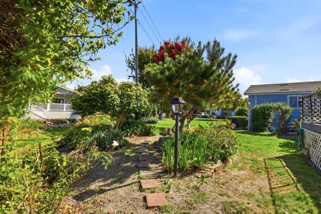 225 Mt. Hermon 60 Property Photo 44