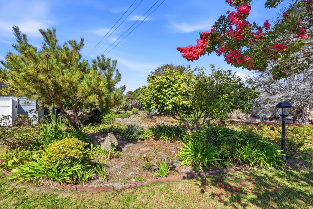 225 Mt. Hermon 60 Property Photo 45