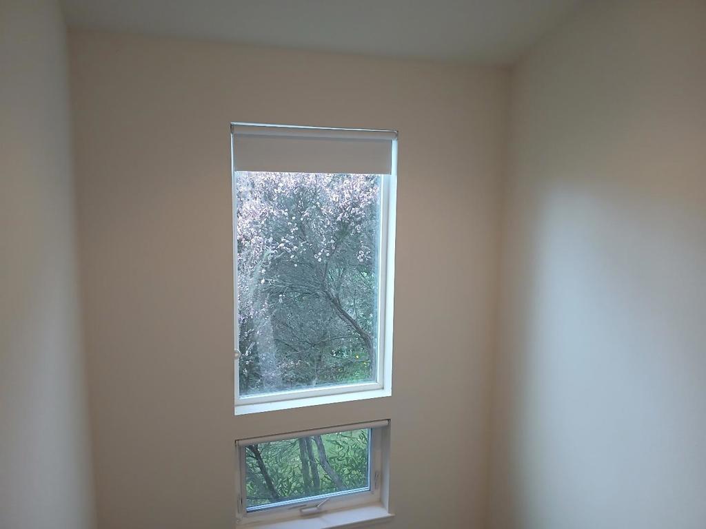 406 Coronado Street Property Photo 8