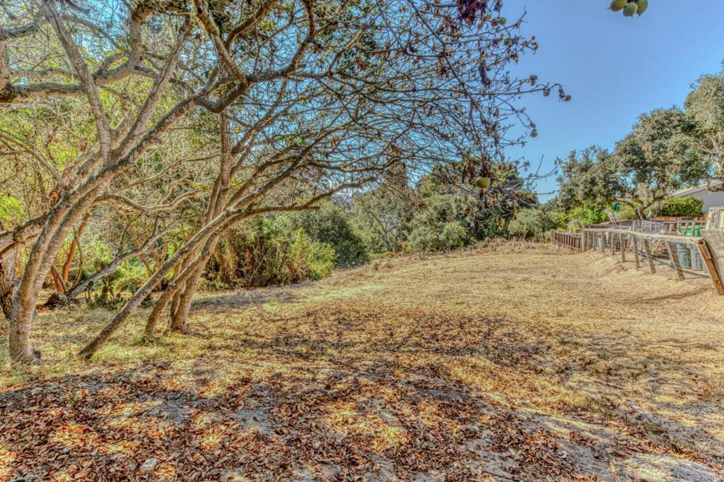 32 Carlton Drive Property Photo 34
