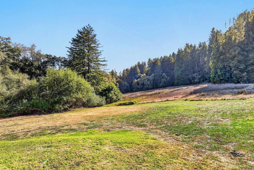 2225 Trout Gulch Road Property Photo 13