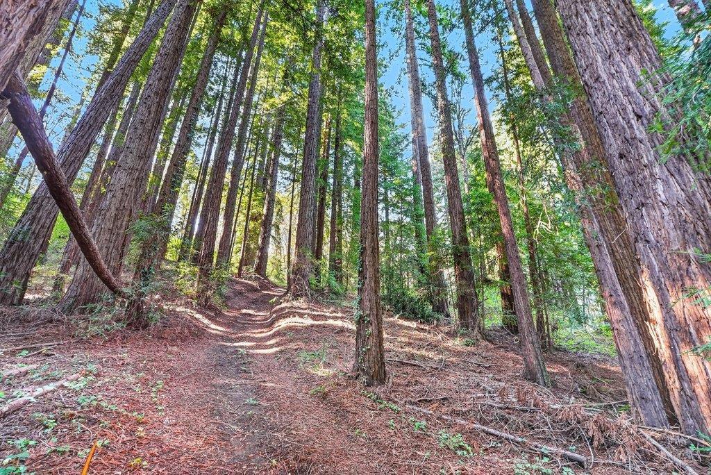 2225 Trout Gulch Road Property Photo 20