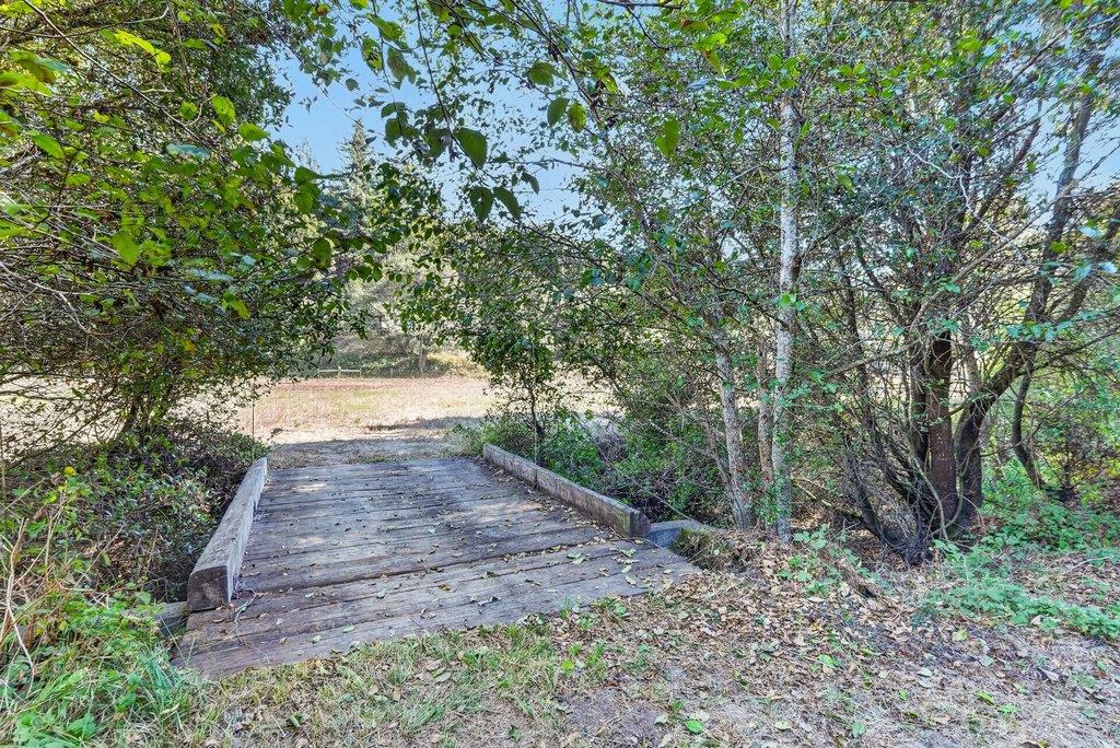 2225 Trout Gulch Road Property Photo 23