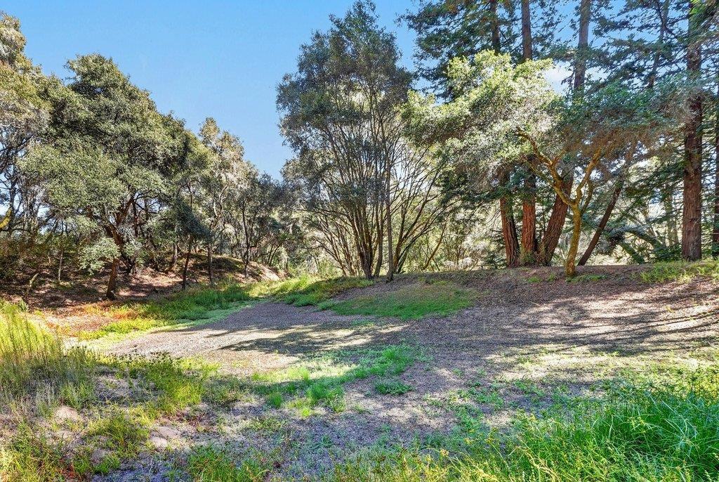 2225 Trout Gulch Road Property Photo 50
