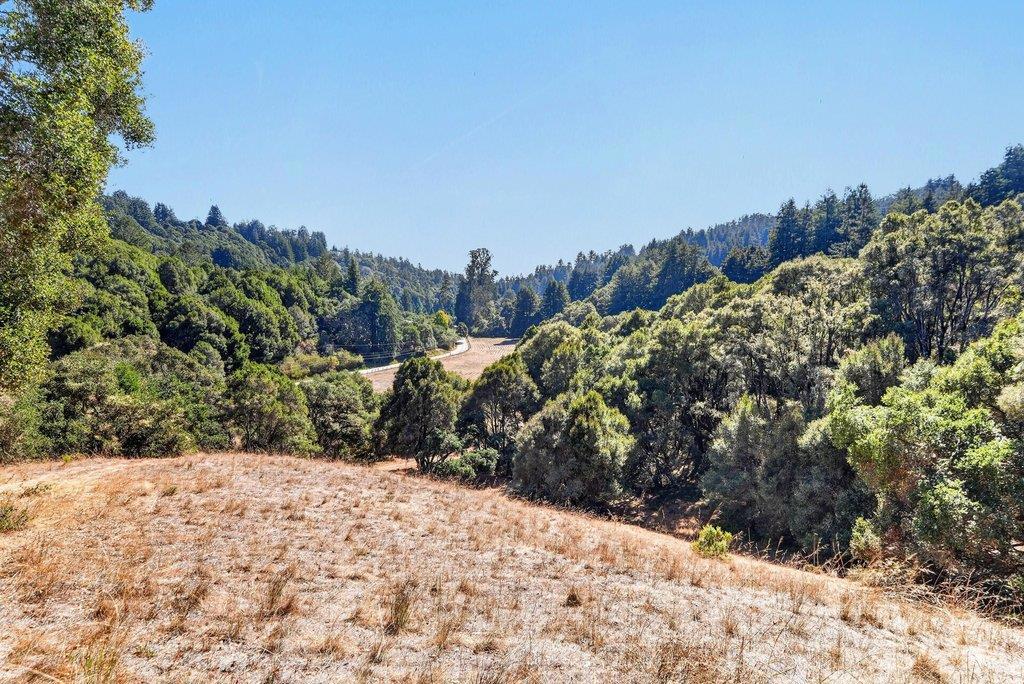2225 Trout Gulch Road Property Photo 51