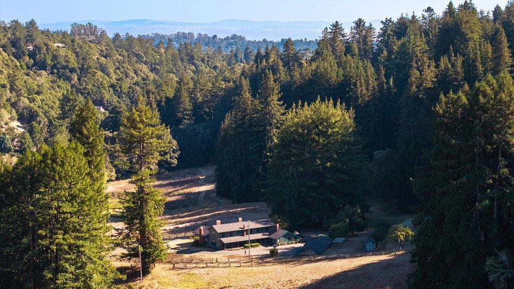 2225 Trout Gulch Road Property Photo 52