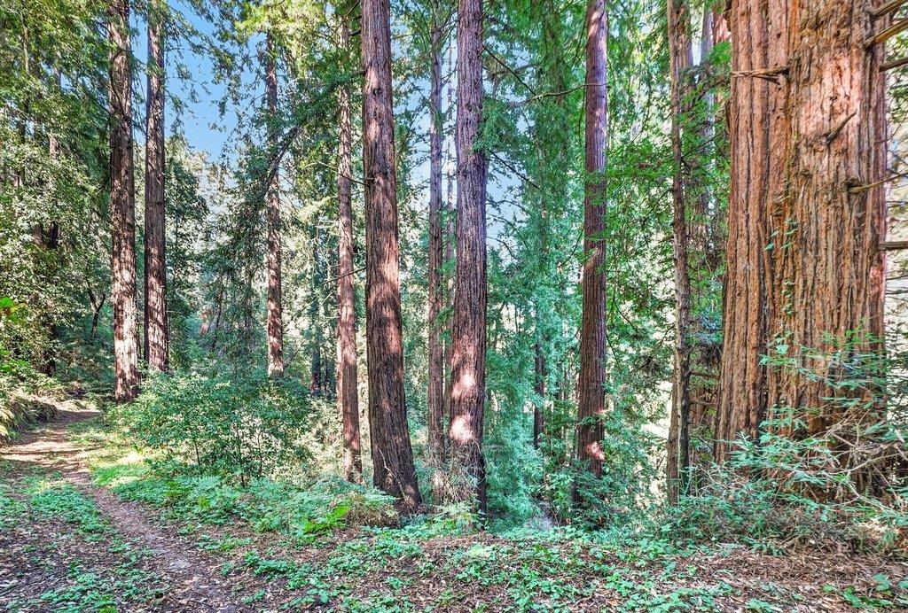 2225 Trout Gulch Road Property Photo 54