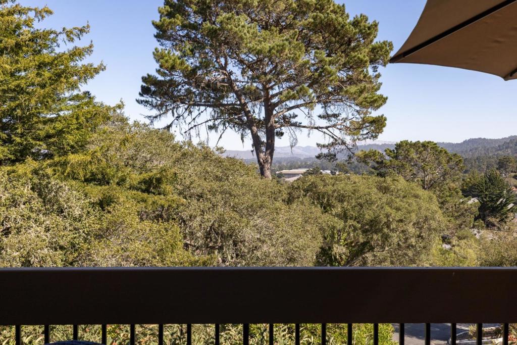1111 Golden Oaks Lane Property Photo 26