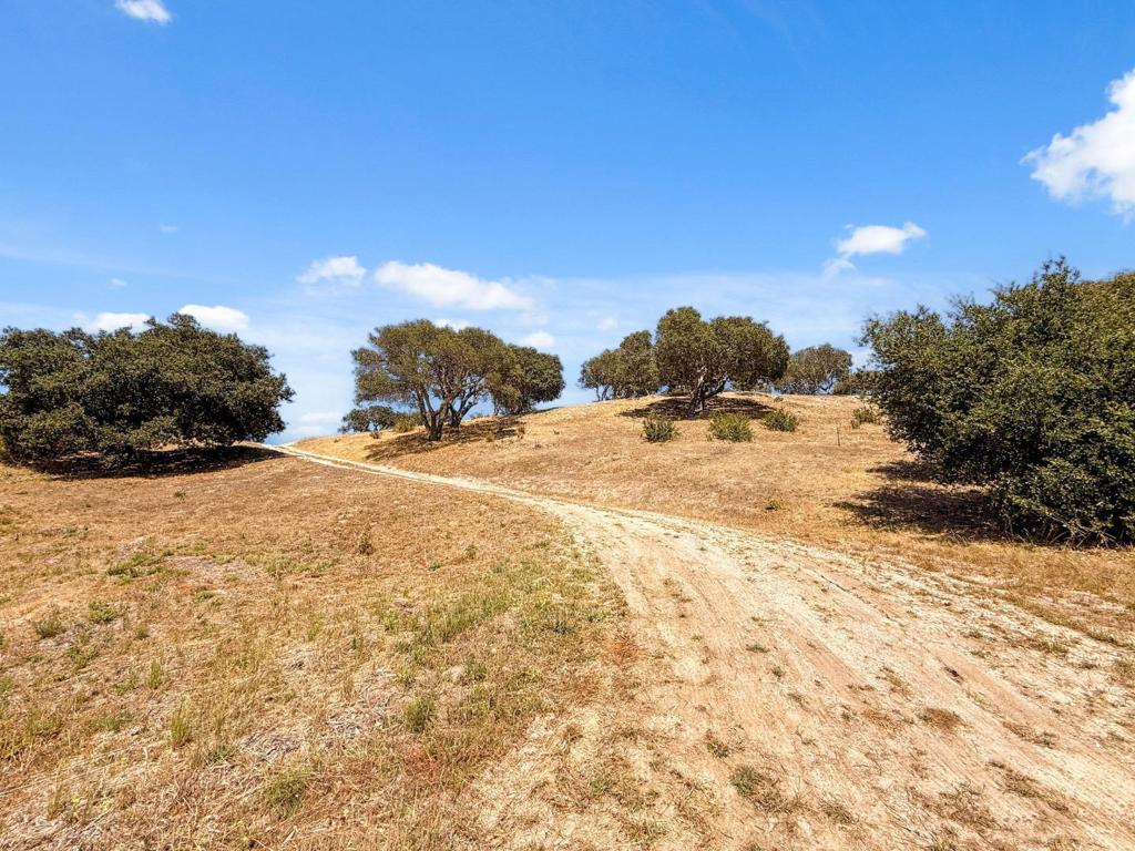 12525 Antonio Place Property Photo 17