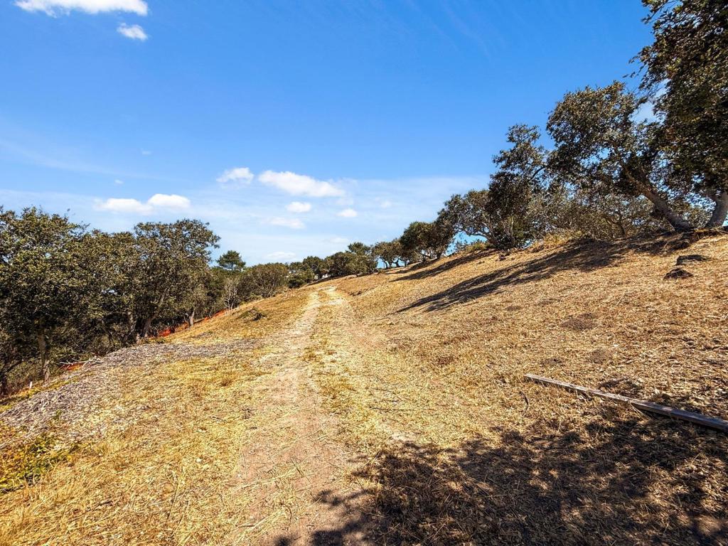 12525 Antonio Place Property Photo 18