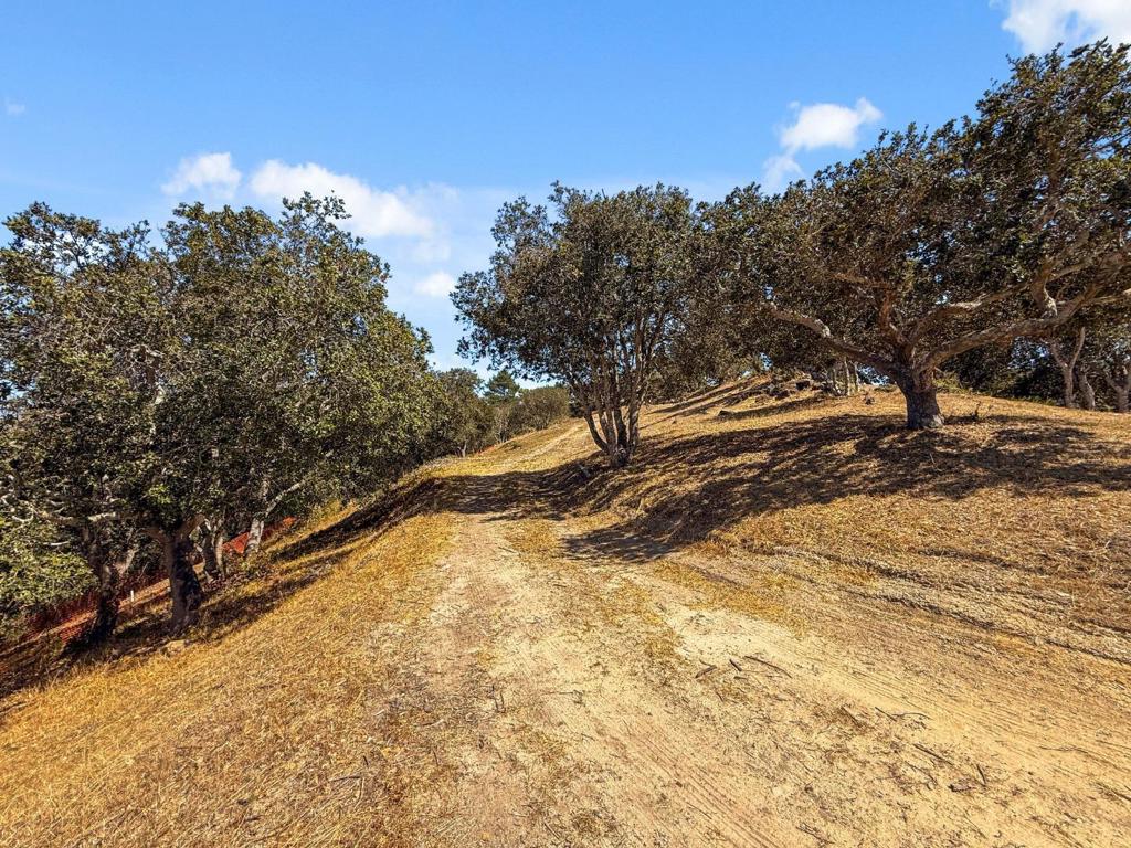 12525 Antonio Place Property Photo 19