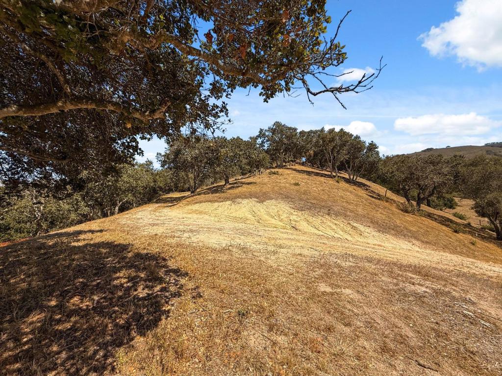 12525 Antonio Place Property Photo 20